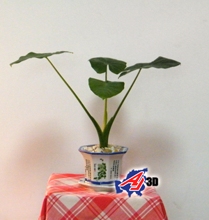 ���w�zӰ�ϳɖňD���M���d